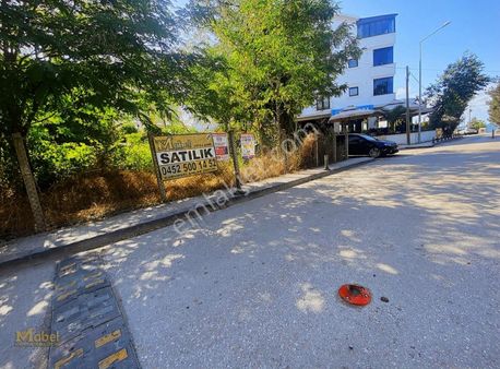 Fatsa Çamlık Merkezi Köşe Parsel Satılık İmarlı 677 M2 Arsa