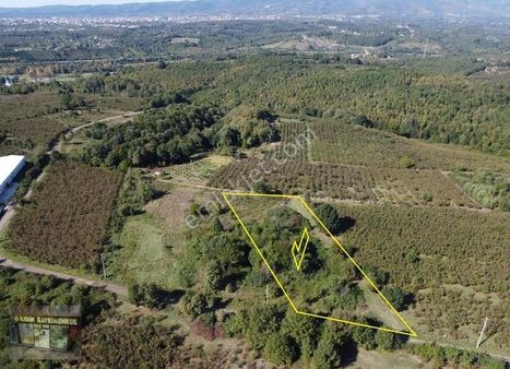 İlerin Gayrimenkul'den Satılık Balıklı İhsaniye'de Tarla