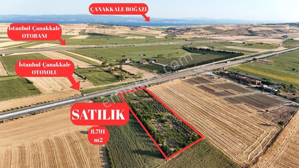 Dmr Yapıdan Gelibolu Bolayır Da Satılık Meyvalık, Bahçe