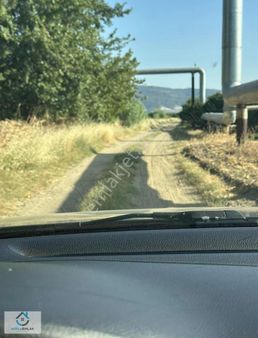 Yatırımlık Portakal Bahçesi