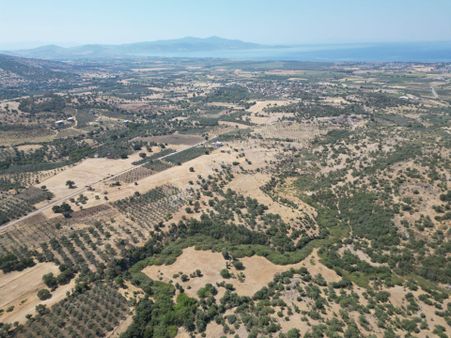 Cb.route'dan, Dikili Kıratlıda Satılık 22 Dönüm Tarla