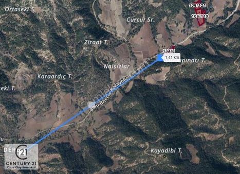 C21 Cius; Bilecik Dereli'de Karayoluna Cephe Tarla