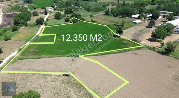 Muhtarımdan Gönenin Dibinde 12.350 M2 Kanal Dibi Tarla