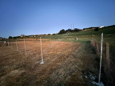 Yatırımlık Konumu Yapılaşmaya Ve Köye Yakın Arsa