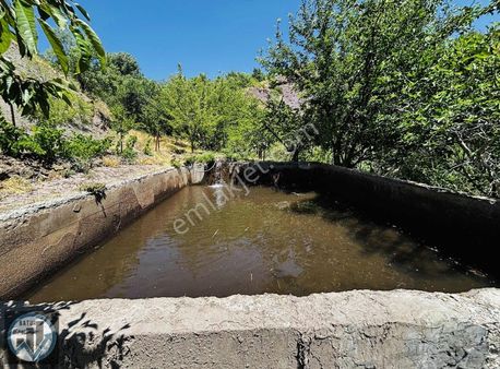 Batur Gayrımenkul'den Tokluca'da Satılık Bahçe