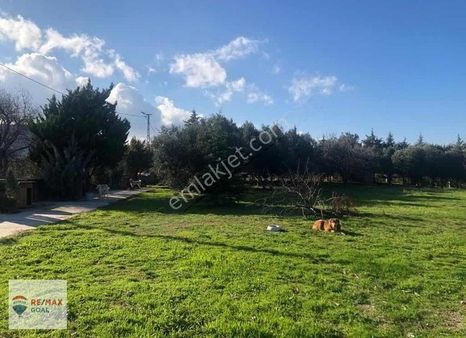 Samsun Çarşamba Sarıcalı'da İmar Planlı 6 Adet Arsa