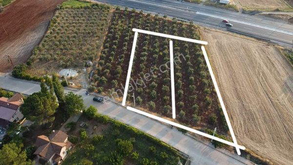 Uğur'dan Çaltıözünde 1200 M2 Köyiçi İmarlı Araziler