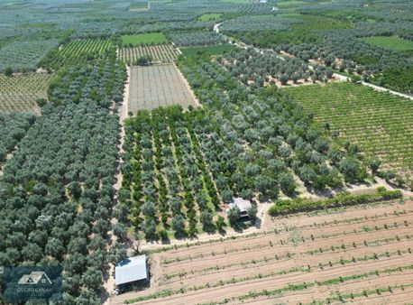 İznik Akköyde, Ana Kanalın Hemen Altında Fırsat Bahçe