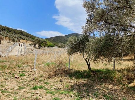 Torbalı Karaotda 352 M2 Hisse Tapulu Acil Satılık Arsa