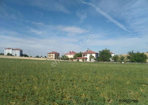 Akyurt İmar Sınırında; İmar Kadastrosu Yapılmış, Güney Cephe, Harika Konumda Satılık Arazi