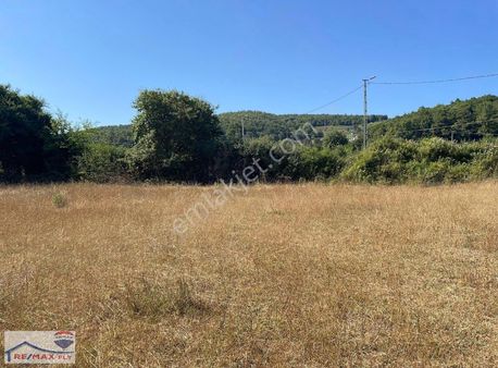 Şile Satmazlı Köyünde Satılık Tarla