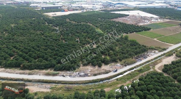 Yeni Planda Yola Cepheli Lojistik Ve Depolama Alanı 2,500 M2