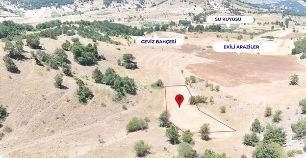 Balıkesir Sındırgı 'da 1.325 M2 Asfalt Yola Yakın Dümdüz Arazi