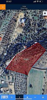 Torbalı Çapak Mah 10.975m2 Yola Sıfır Tarla