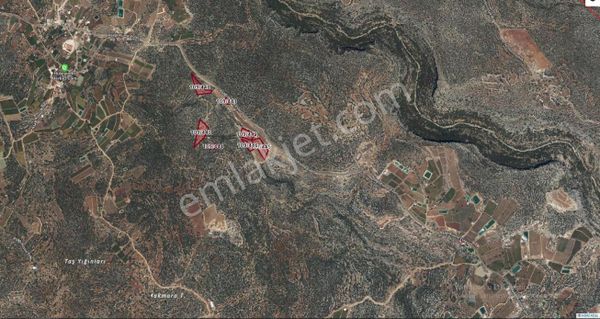 Silifke Hüseyinler’de Yola Sıfır , 7 Tapulu, 18.896 Mt Satılık Zeytinlik Tarla