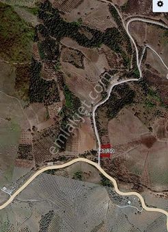 Selçukgazi'de Fırsat Satılık Bağ