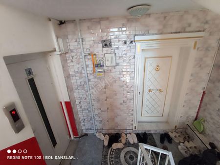 Saray Yavrusu Dairemiz Satilik