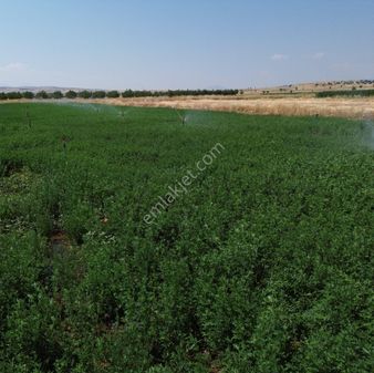 Antalya Korkuteli Yeletende Sulak 4.391 M2 Bahçe Yapımına Uygun Sulama Suyu Mevcut Tarla