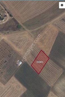 Tekirdağ Saray Beyazköy Satılık Tek Tapu 1600m2 Tarla