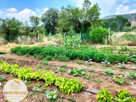 Karakoç Gayrimenkul Meram Güneyderede Satılık 1615 M2 Kurulu Düzen Bahçe