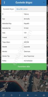 Kapaklı Satılık Zeytinlik