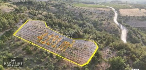 Denizli Çal Selcende Ulaşımı Kolay, Yatırımlık Satılık Tarla!