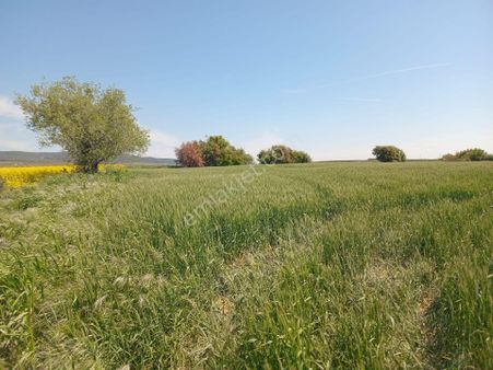 Satılık Sedef Emlaktan Alper Yatirimlik Arazi Dez Manzaralı