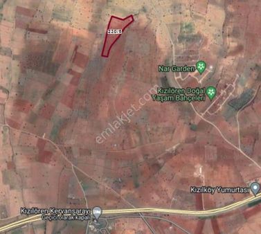 Uğuremlak'tan Kızılören'de Tek Tapu Satılık Tarla