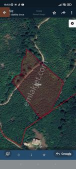 Fatsa Yukarıardıç Orta Mahallede Satılık Fırsat Fındık Bahçesi