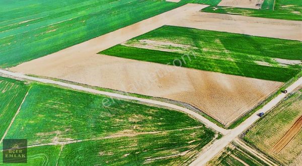 Edirne Havsa Yolageldi Köyü 8.191m2 Yola Cephe Arazi Satılık