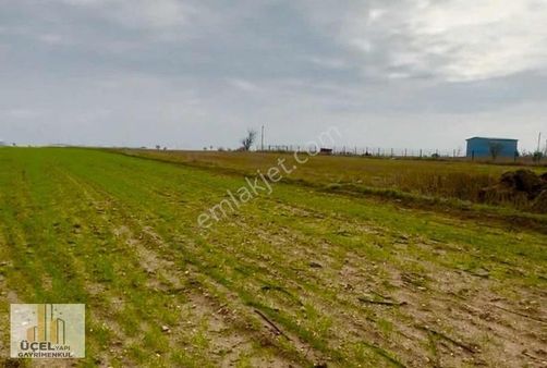 Kırklareli Merkez Kavakdere Köy İçi, Çaplı - Yeri Belli 325 M2