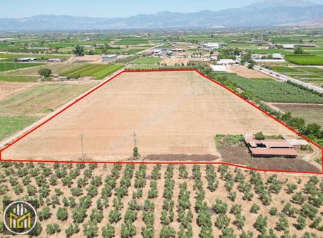 Ödemiş Satılık Tarla Ovakent Çatalarmut Mevki Sulu Elektrikli