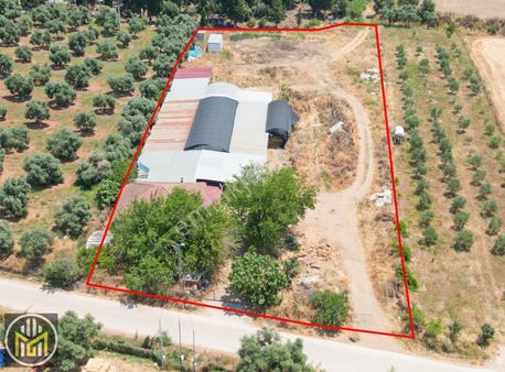 Ödemiş Şirinköyde Tam Teçhizatlı Hayvan İşletmesi Ve Ev