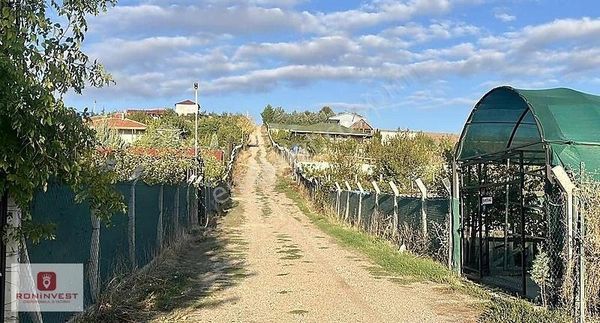 Çubuk'ta İmara Yakın Yatırım Fırsatı Satılık 1000m2 Bahçe