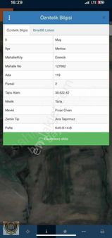 Brn Emlak'tan Muş Erencik'de 39 Bin M2 Satılık Tarla