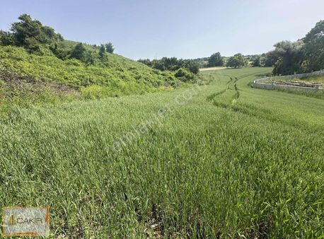 Çatalca Kabakça Satılık 2.839m2 Müstakil Tapulu Tarla