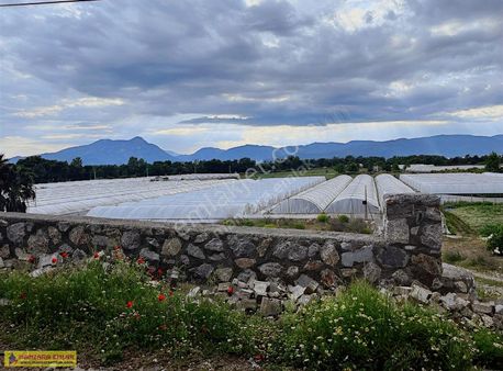 Satılık İçinde Sera Bulunan Tarla