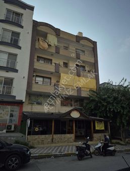 Palmiye Yakını 3+1