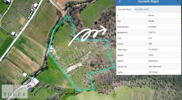 Tuder'den Korubaşında Kadastro Yolu Olan 21.234 M² Fırsat Arazi