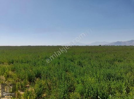 Cm Emlak Kemerhisar Cumhuriyet 86000 M2 Sulu Tarla
