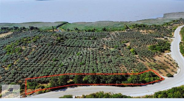 Fırsat Arazi ,fırsat Yatırım