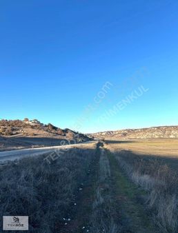 Tekgöz'den Kızılinler'de Yola 200 Metre Cepheli Satılık Tarla