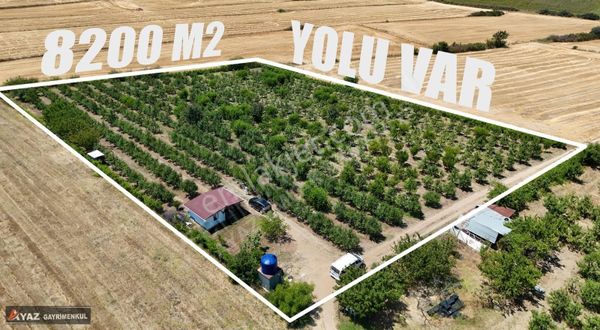 Edirne Havsa Kuzucu Köyünde Acil Satılık Meyve Bahçesi!!!!!!