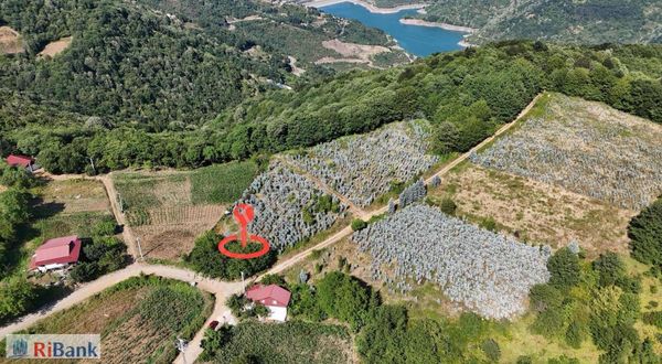 Ribanktan Servetiye Karşı'da Satılık 1.665 M2 Doğa İçinde Arsa