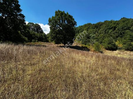 Gönen Fındıklı’da 14.250m2,mirastan Satılık Fırsat Tarla