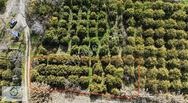 Kuyucak 5 Eylül'de Satılık Hobi Bahçesi