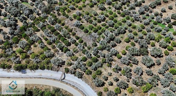 Yalınkuyuda Elektrik Ve Su Dibinde Yatırımlık Arsa