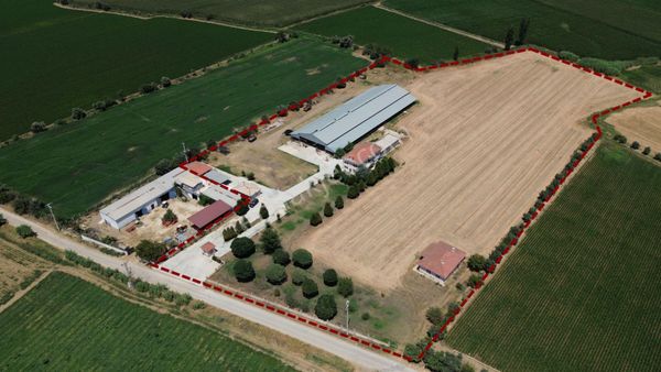 İzmir – Tire | Satılık Tam Kapasiteli Büyükbaş Hayvancılık Çiftliği