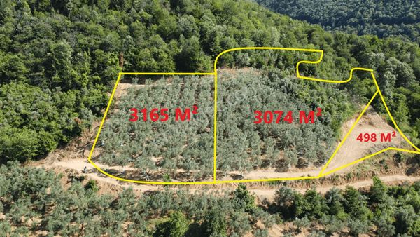 Beka Gayrimenkul Den Takaslı Yenigürle 'de Göl Manzaralı 2 İmarsız 1 İmarli Zeytinlik