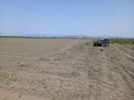 Akhisar Rahmiye Yoluna Cepheli 6.300 M2 Koop Suyu Olan Tarla 2.350.000 Tl